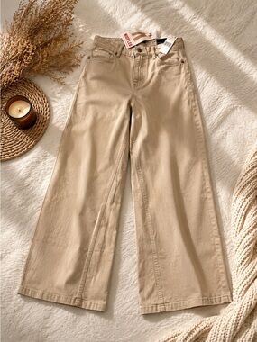 Celebrity Pink Wide Leg Pants in Khaki